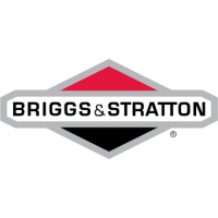 Briggs and Stratton